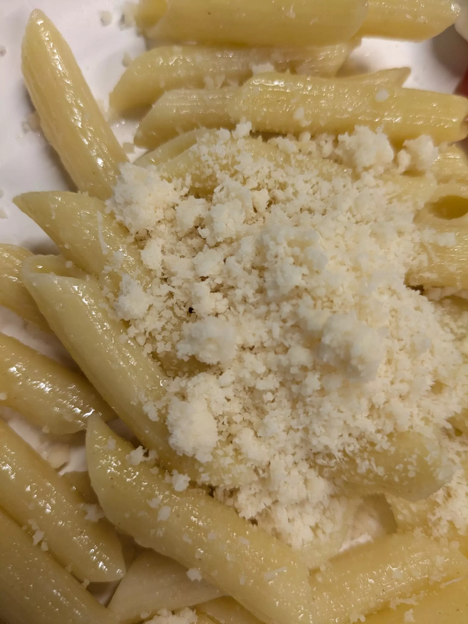 Pastascuitta Antifascista