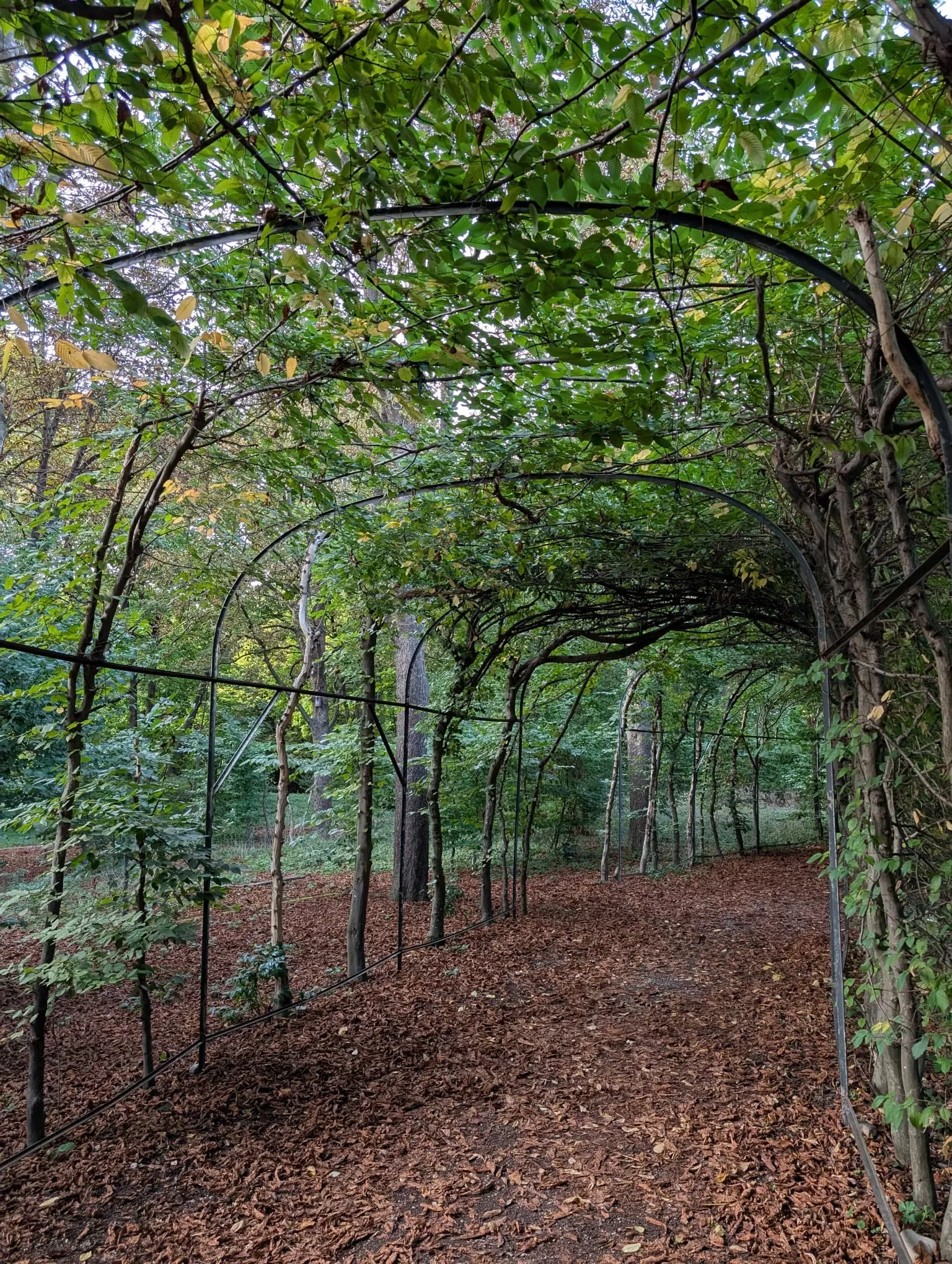 Passegiata Westpark