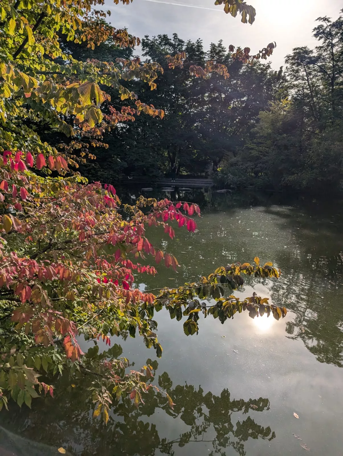 Passegiata Westpark