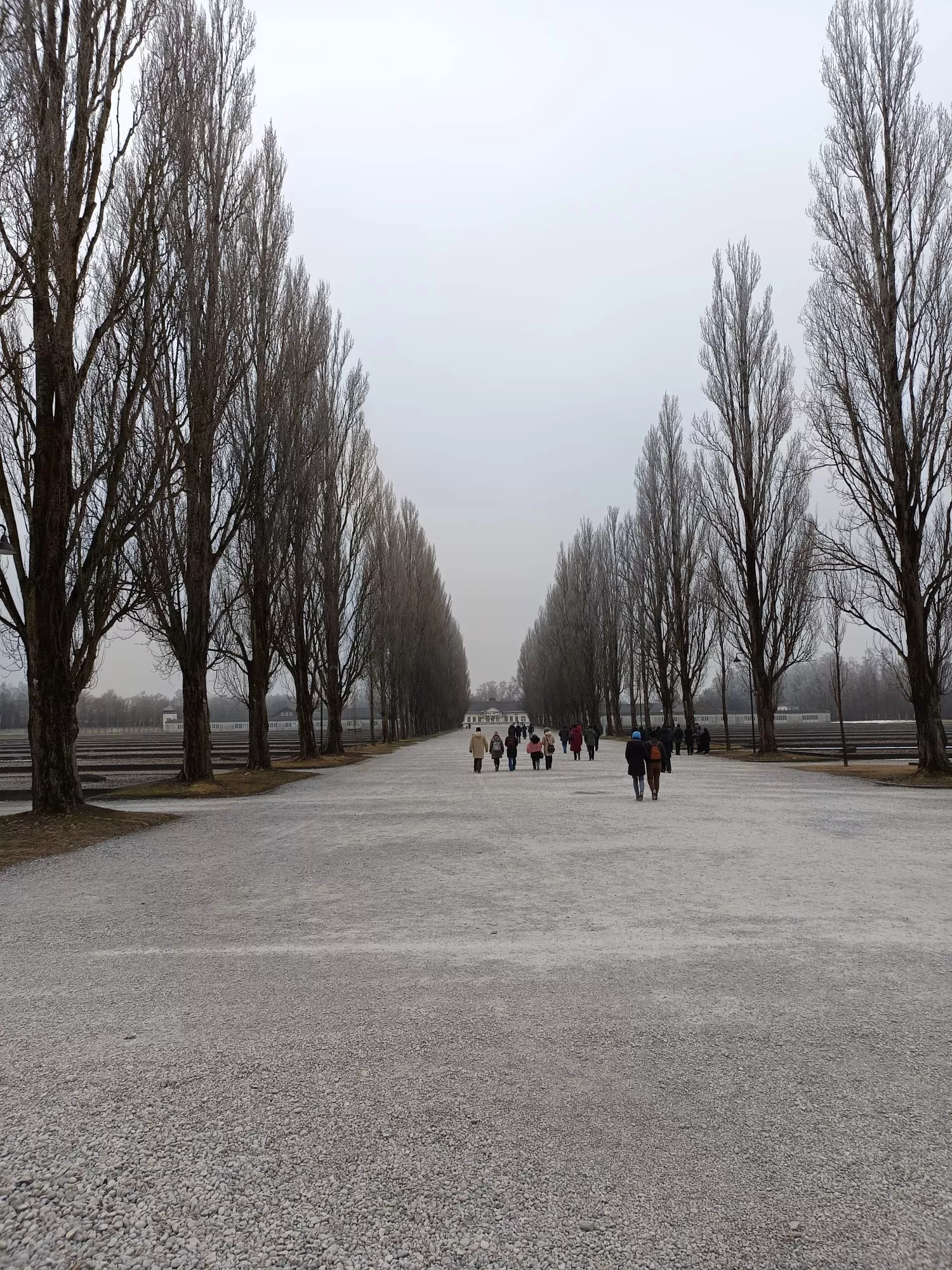 Visita guidata al Campo di Concentramento